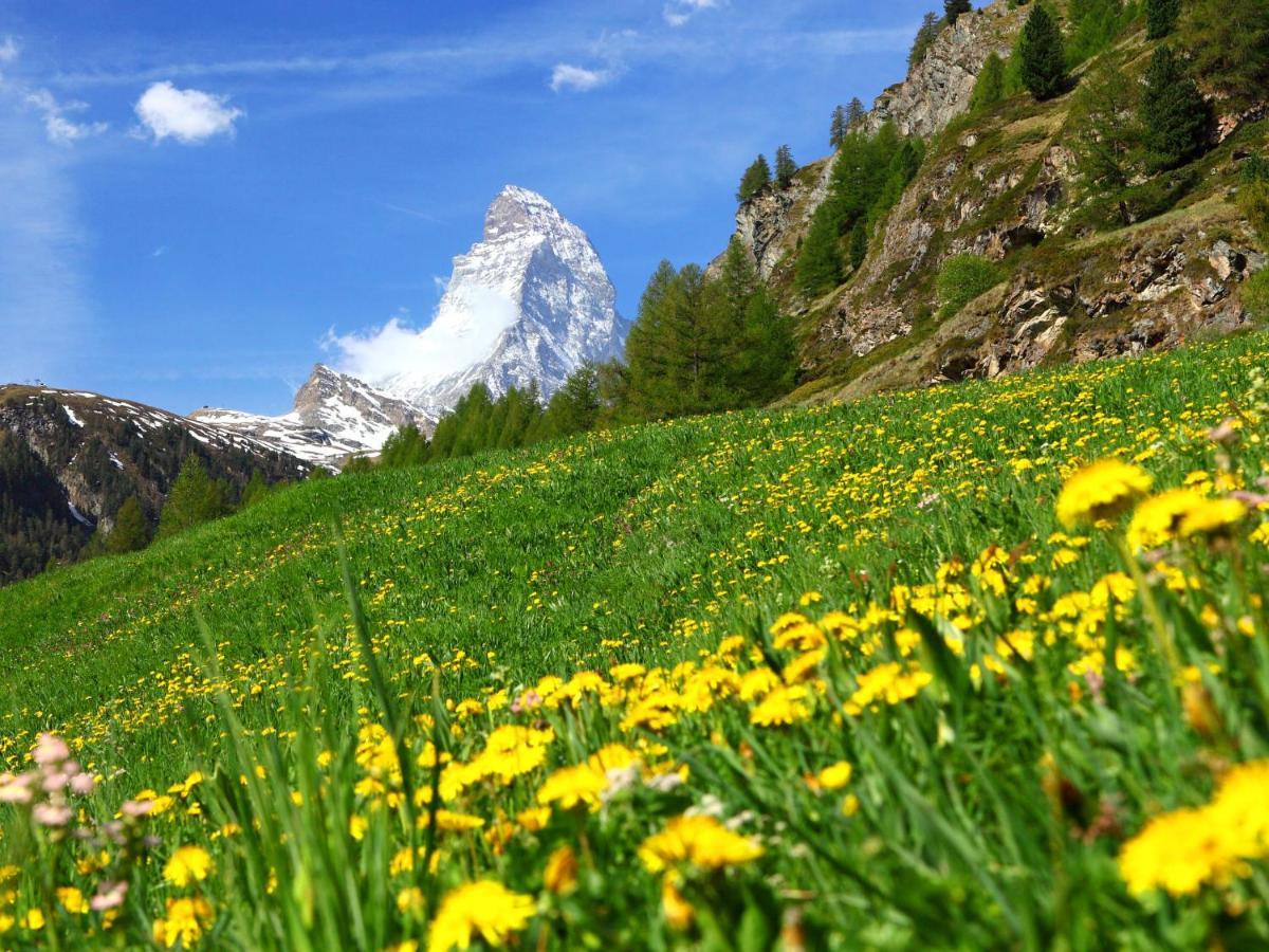 Apartment Armina By Interhome Zermatt Buitenkant foto