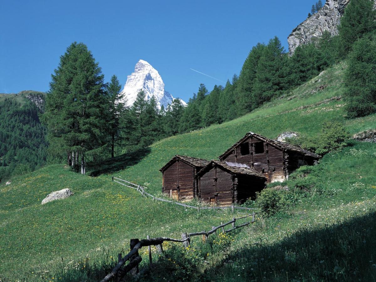 Apartment Armina By Interhome Zermatt Buitenkant foto